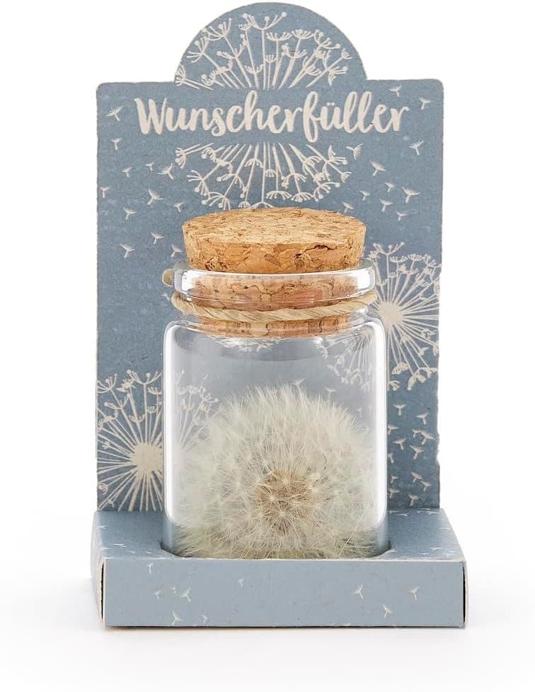 Trockenblume Echte Pusteblume Löwenzahn im Glas - Die Stadtgärtner - Bild 2