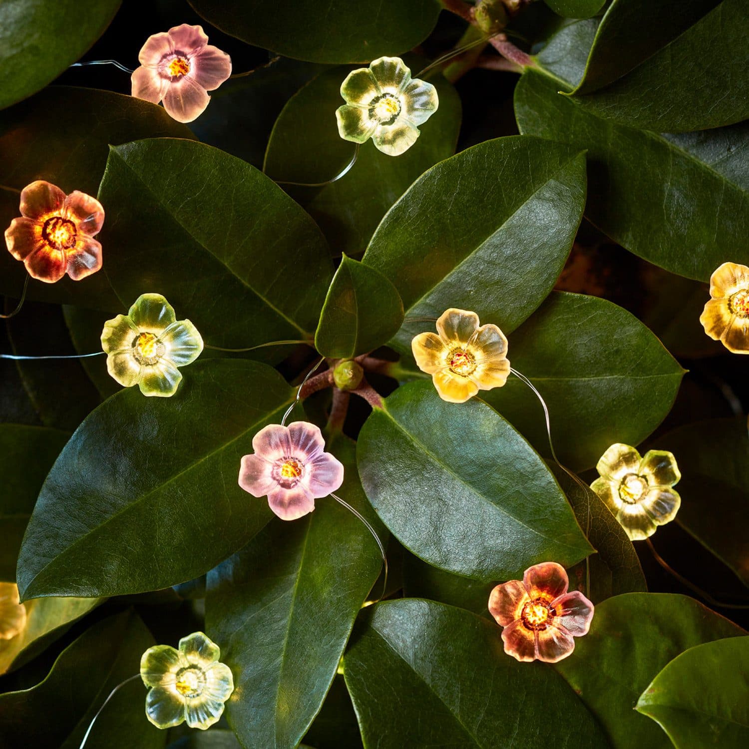 Lights4fun LED-Lichterkette 20er Micro Bunte Rosen
