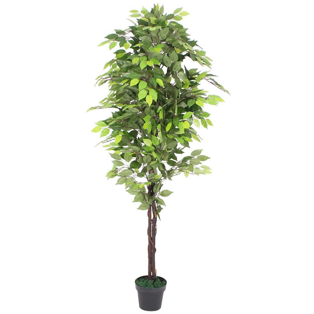 Decovego Kunstbaum Ficus 180 cm Grün mit Echtholz - Bild 2