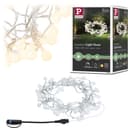 Paulmann LED-Lichterkette Plug & Shine IP44 7,5m Schwarz Bild 2