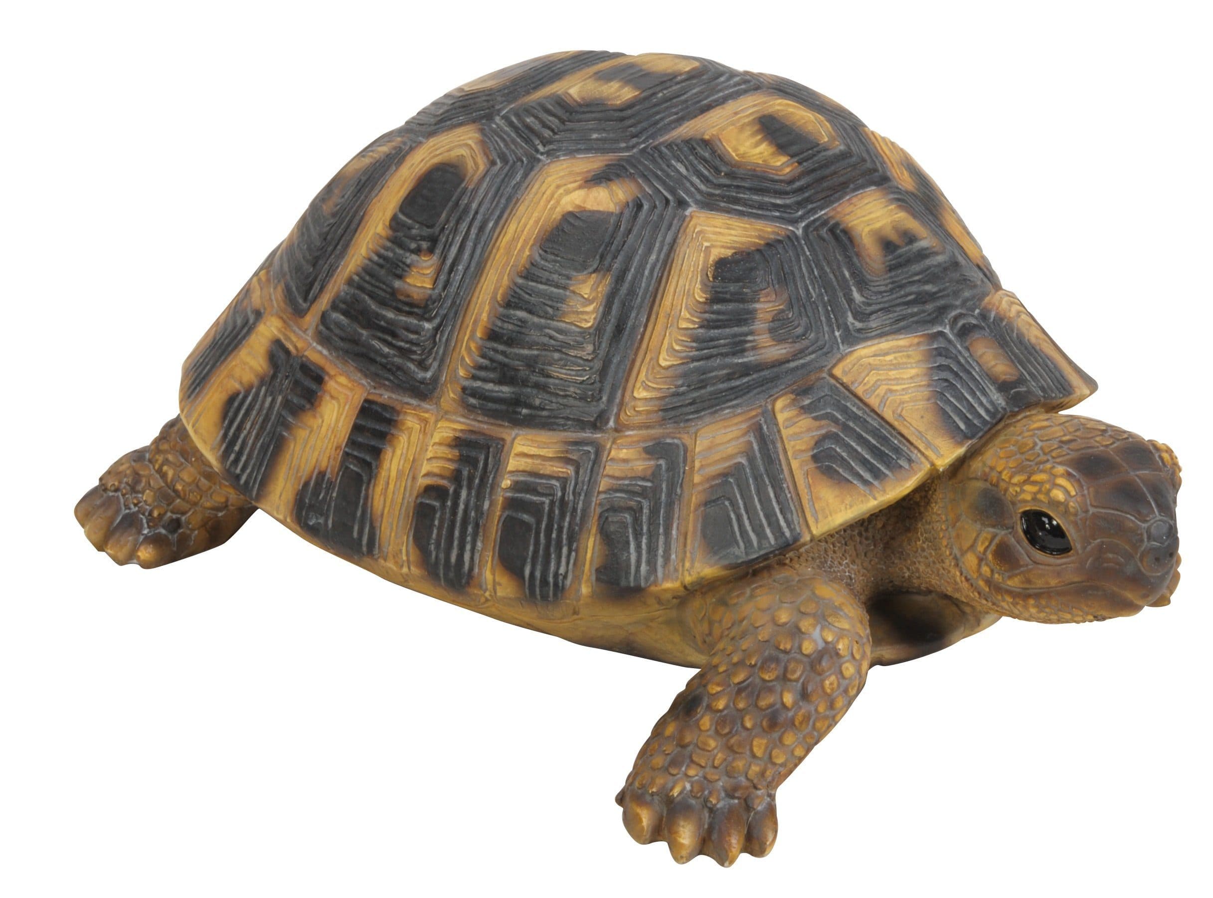 Dehner Gartenfigur Schildkröte 7,7 x 17 x 11,7 cm Polyresin