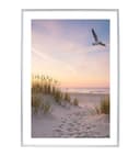 IDEAL TREND Bilderrahmen Kunststoff Silber Bild 2