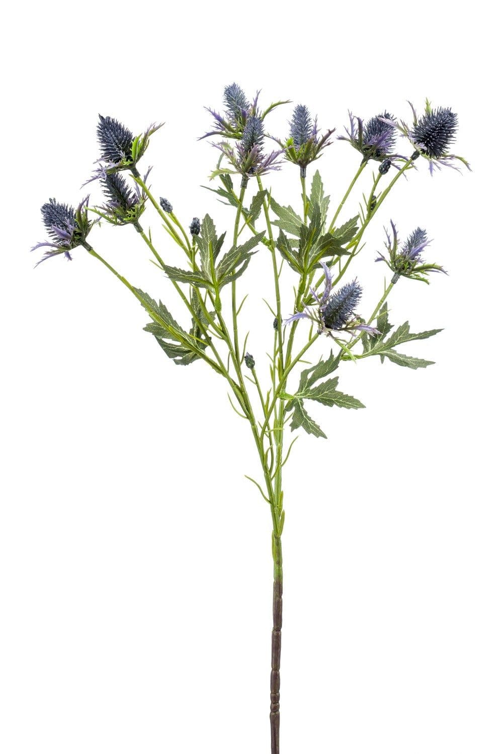 artplants Kunstzweig Edeldistel Blau 70cm Mannstreu