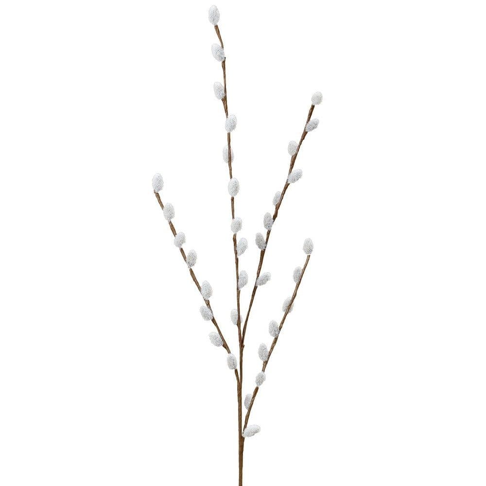 Trockenblume Dekozweig Weidenkätzchen BOLTZE GRUPPE GmbH