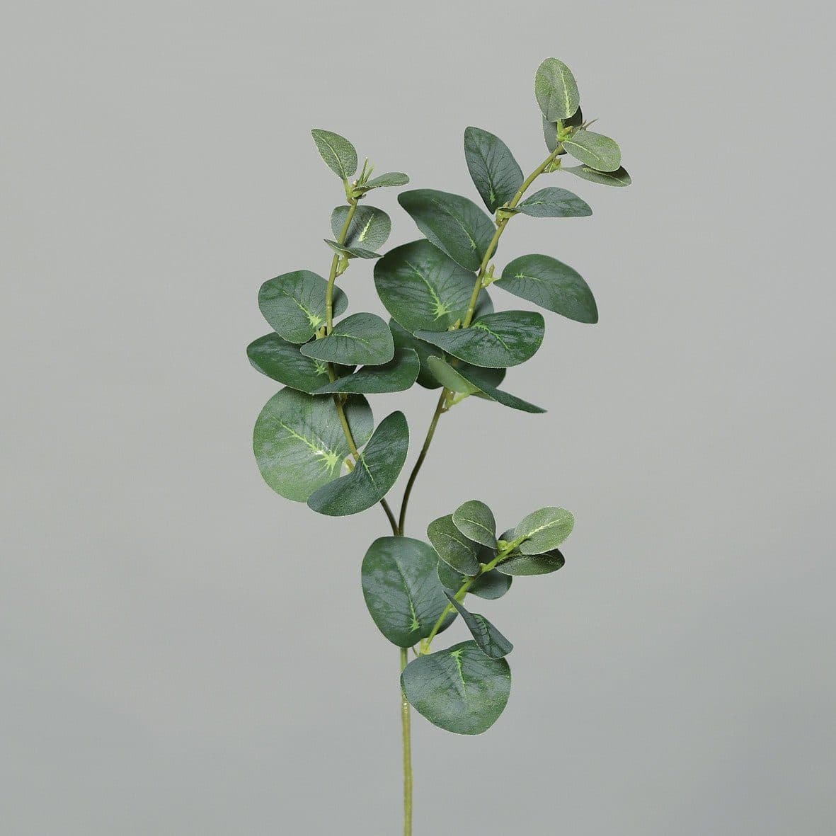 DPI Kunstpflanze Eukalyptuszweig 3er-Set Grün 64 cm