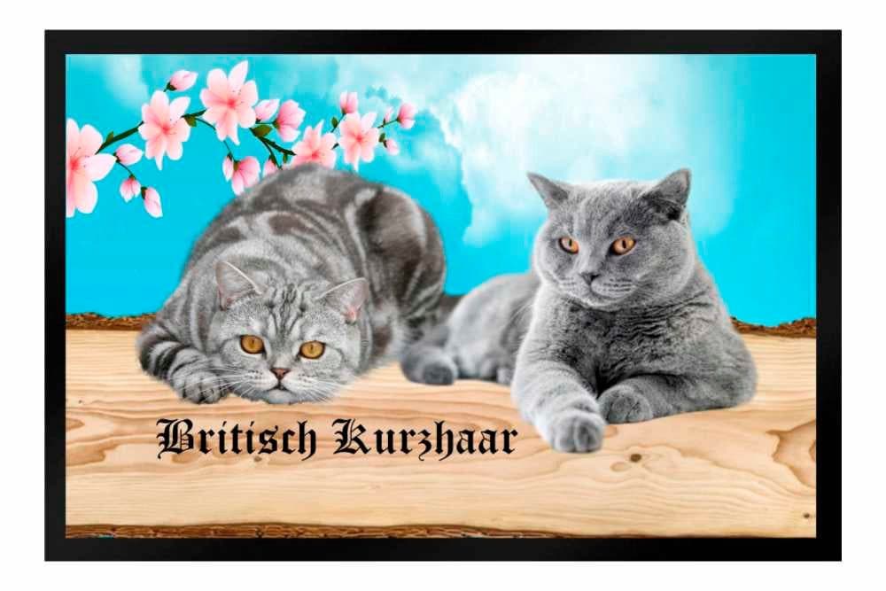 Ladreas Fußmatte Schmutzfangmatte Katze Rassekatze Britisch Kurzhaar