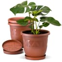 Plastard Pflanzkübel Set 3er Blumentopf mit Untersetzer Braun Kunststoff Bild 2