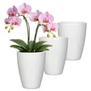 Annastore Übertopf 3er-Set Orchidee Keramik Weiß-Glanz Bild 2