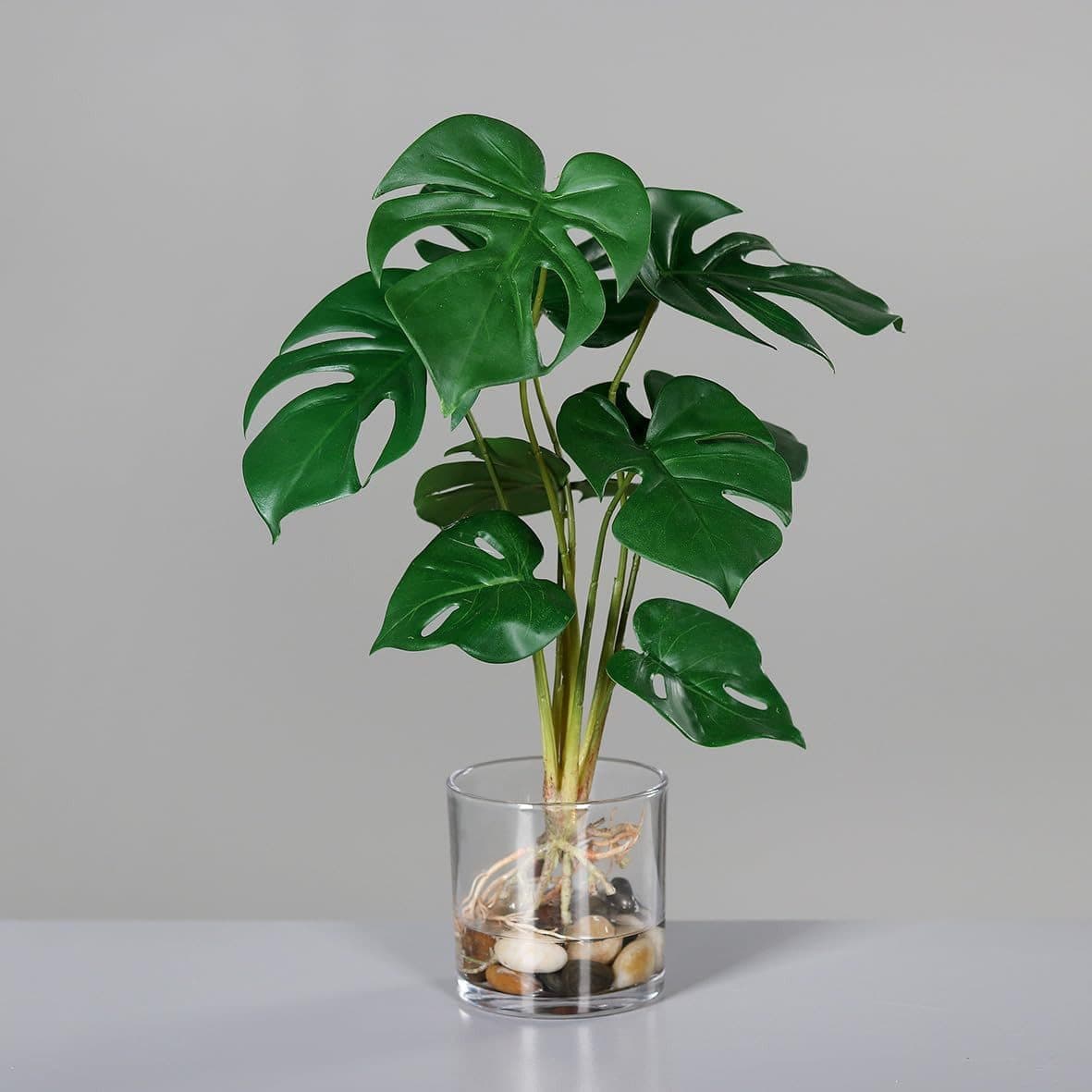 Kunstpflanze Monstera Deluxe im Glasgefäß 38 cm - mucPlants