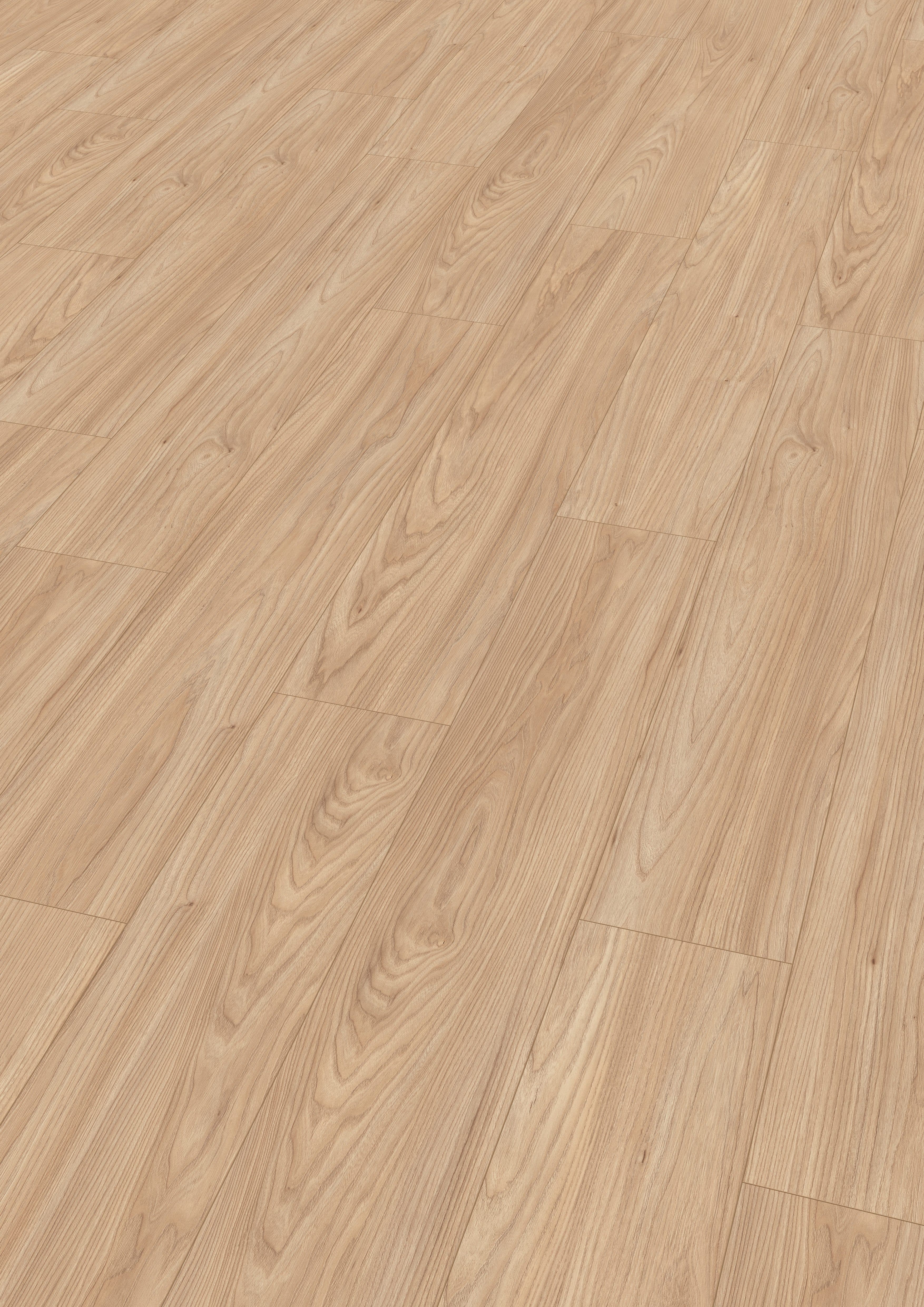 EGGER Laminatboden Sheffield Akazie natur 8mm CLIC it! Klicksystem - Bild 2
