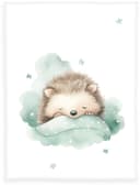Babydecke Babybest Kleiner Igel Bunt 100% Polyester Kuscheldecke Bild 2