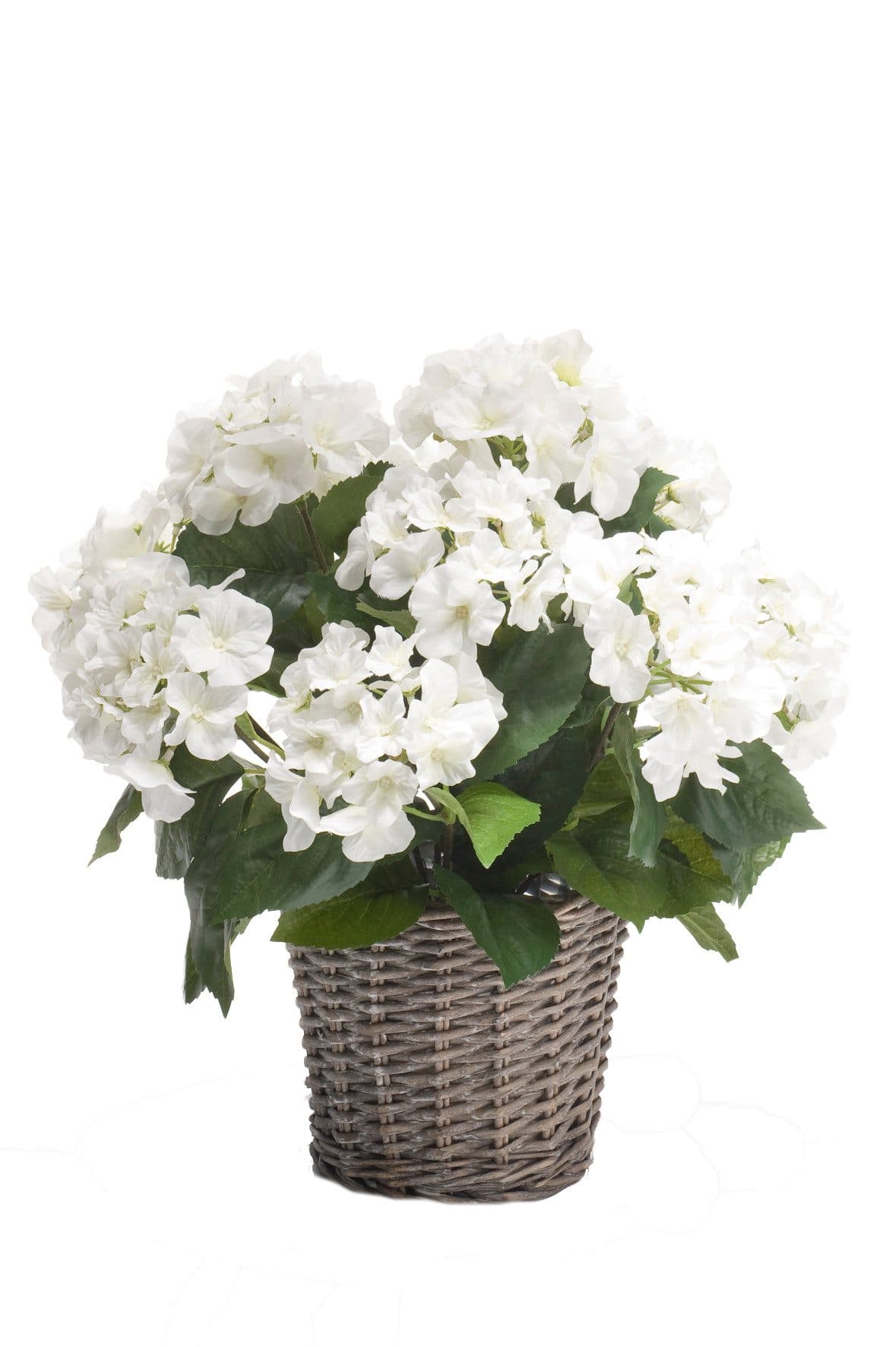 Künstliche Zimmerpflanze Emerald Weiß