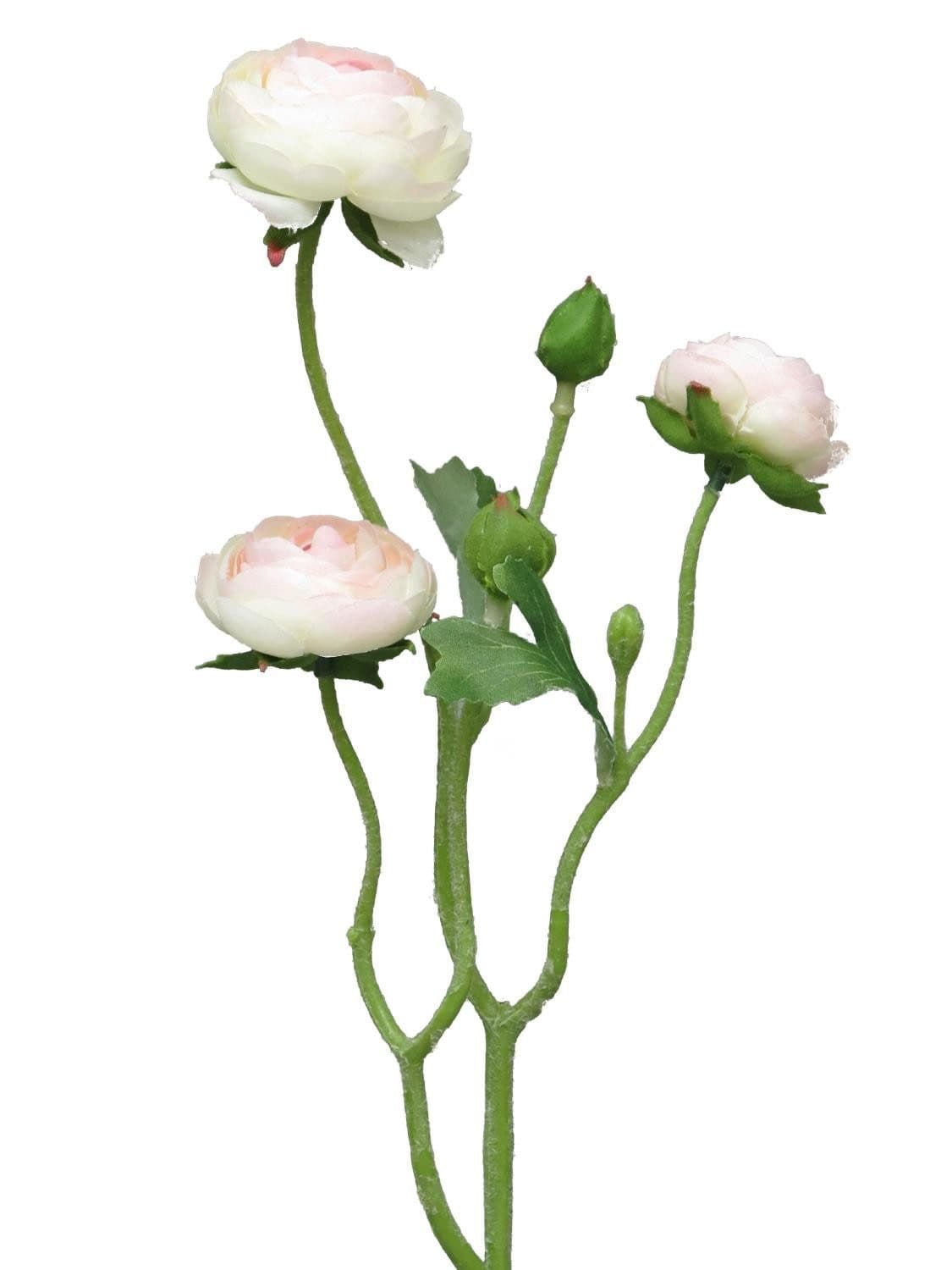 artplants Kunstzweig Ranunkel weiß-rosa 50 cm