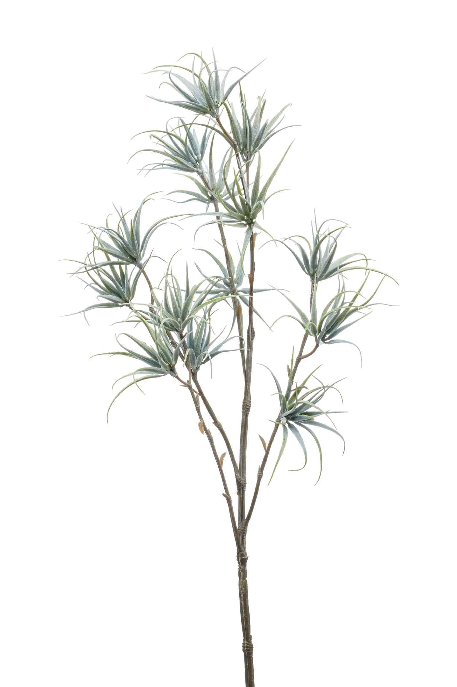 Kunstzweig Tillandsia Stricta 65cm - Künstliche Pflanze
