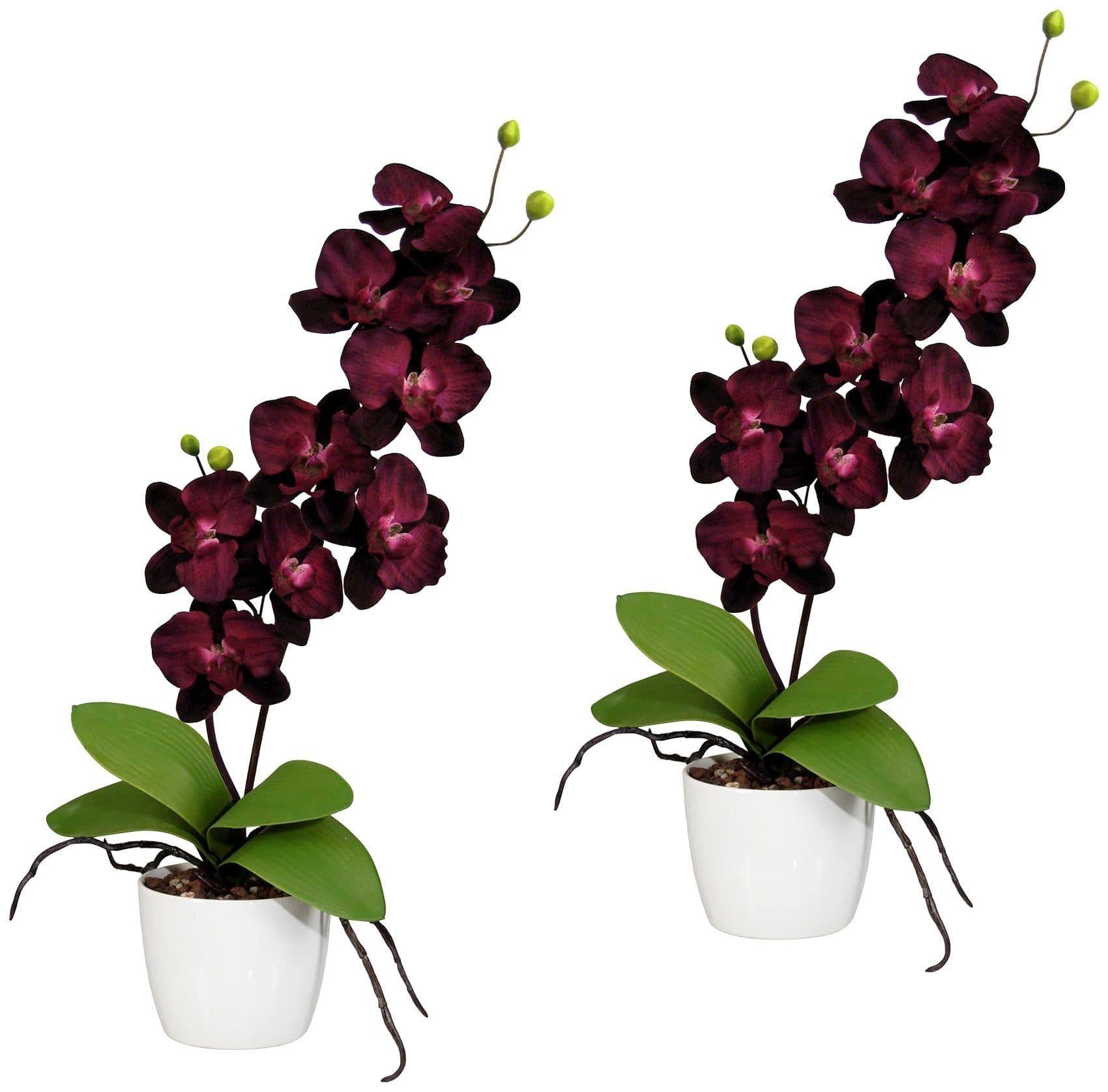 Creativ green Kunstpflanze Orchidee Phalaenopsis Violett