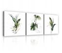 Wallarena Leinwandbild Blätter Pflanzen Weiß 3 Teile SET XXL Modern Natur Bild 2