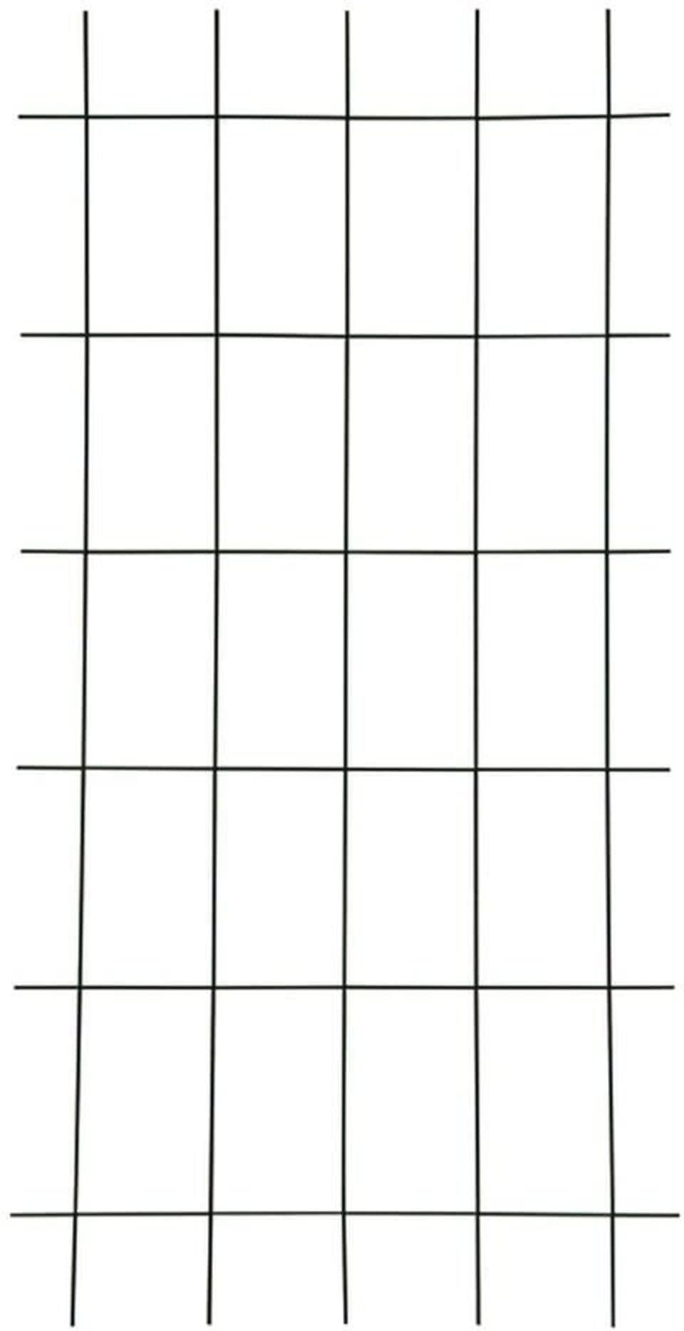 Testrut Gitterspalier 150x60 cm Braun Wetterfestes Metallspalier