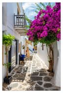 Wallario Poster Griechische Blütengasse Mediterraanes Flair Bild 2