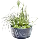 Heissner Gartenbrunnen Solar AQUATOPIA Komplett-Set Grau Polyresin Bild 2