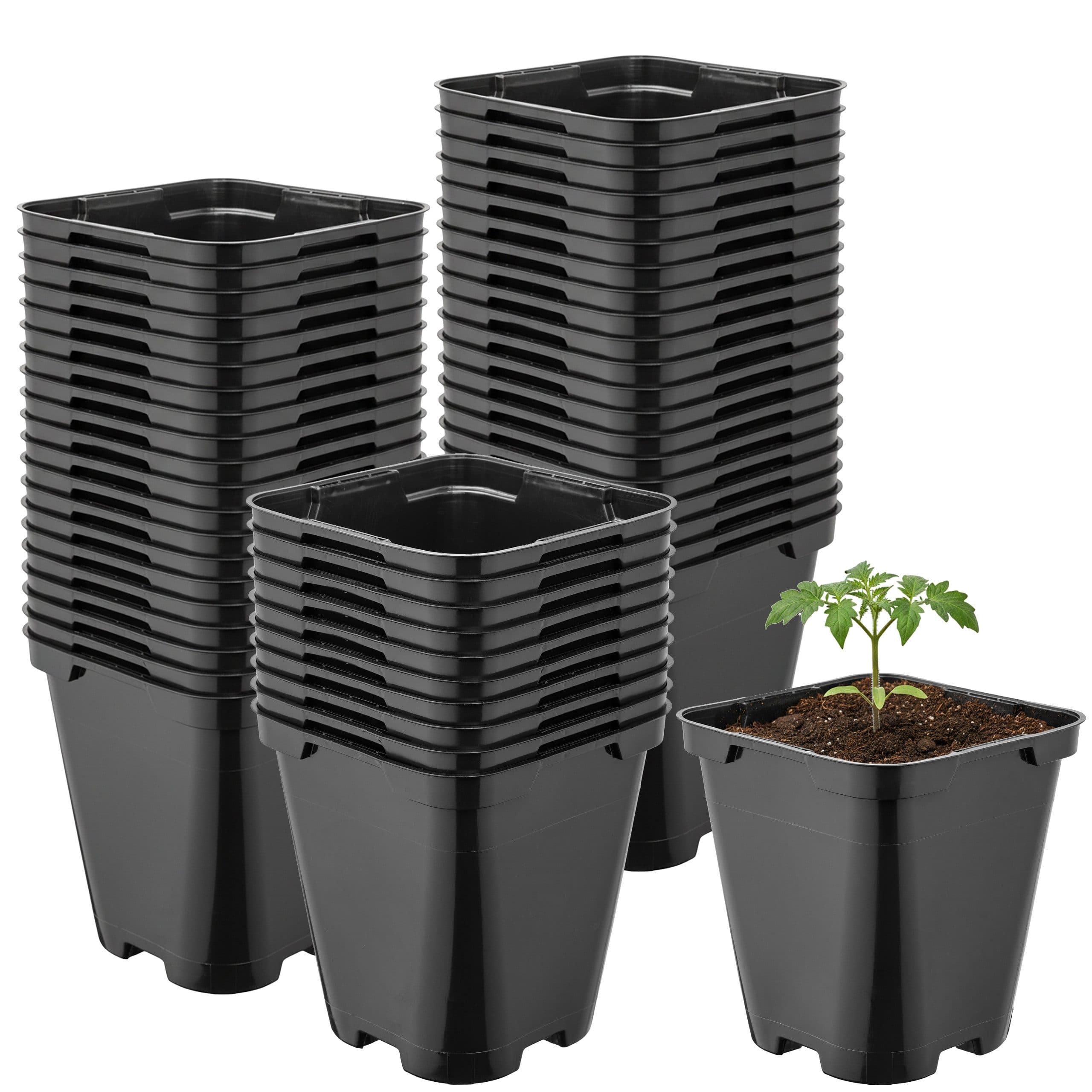 Garronda Blumentopf Kunststoff eckig abgerundet 50er Set