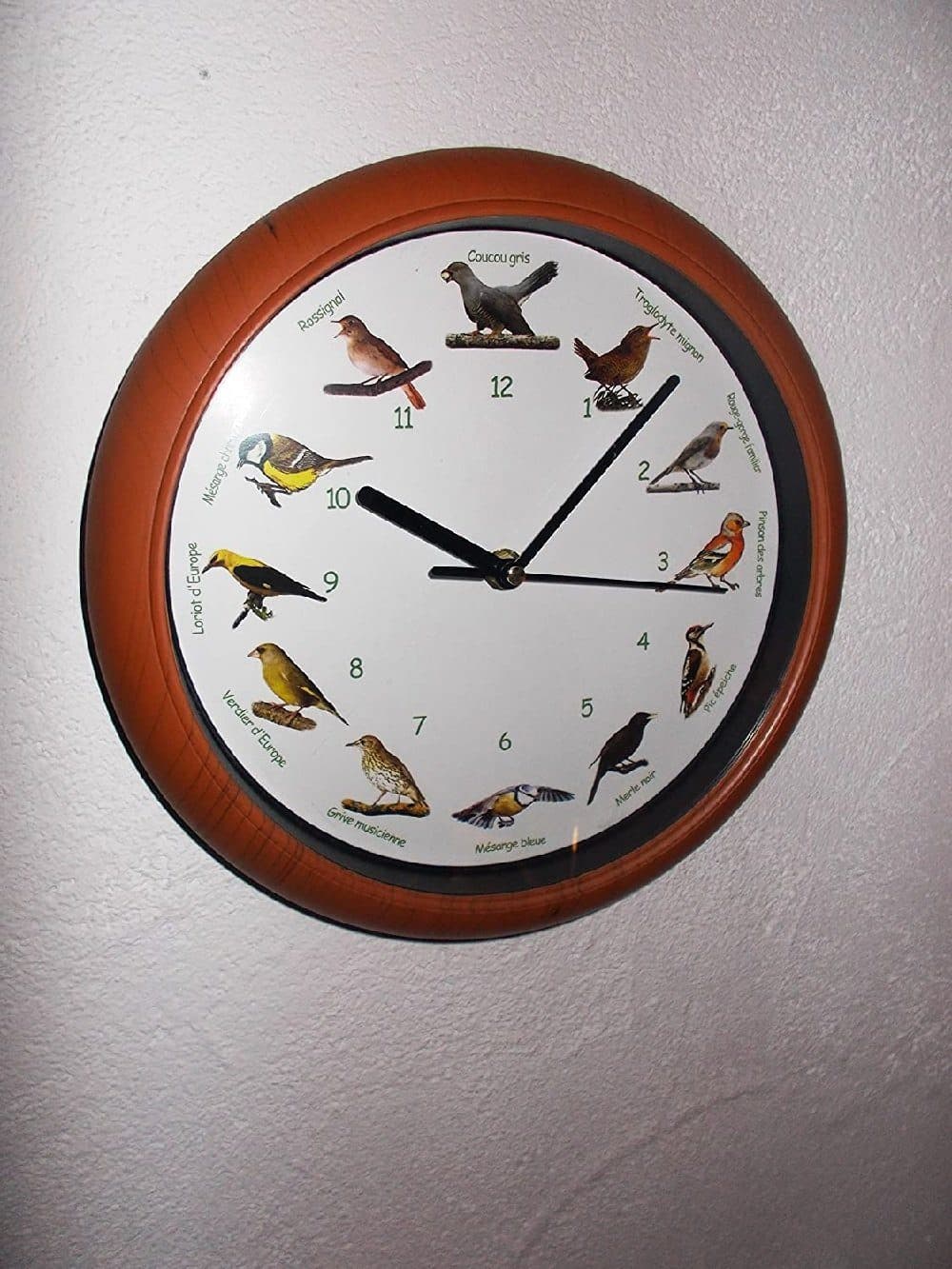 Luna24 simply great ideas... Vogelstimmen-Wanduhr mit französischer Bezeichnung brauner Rahmen