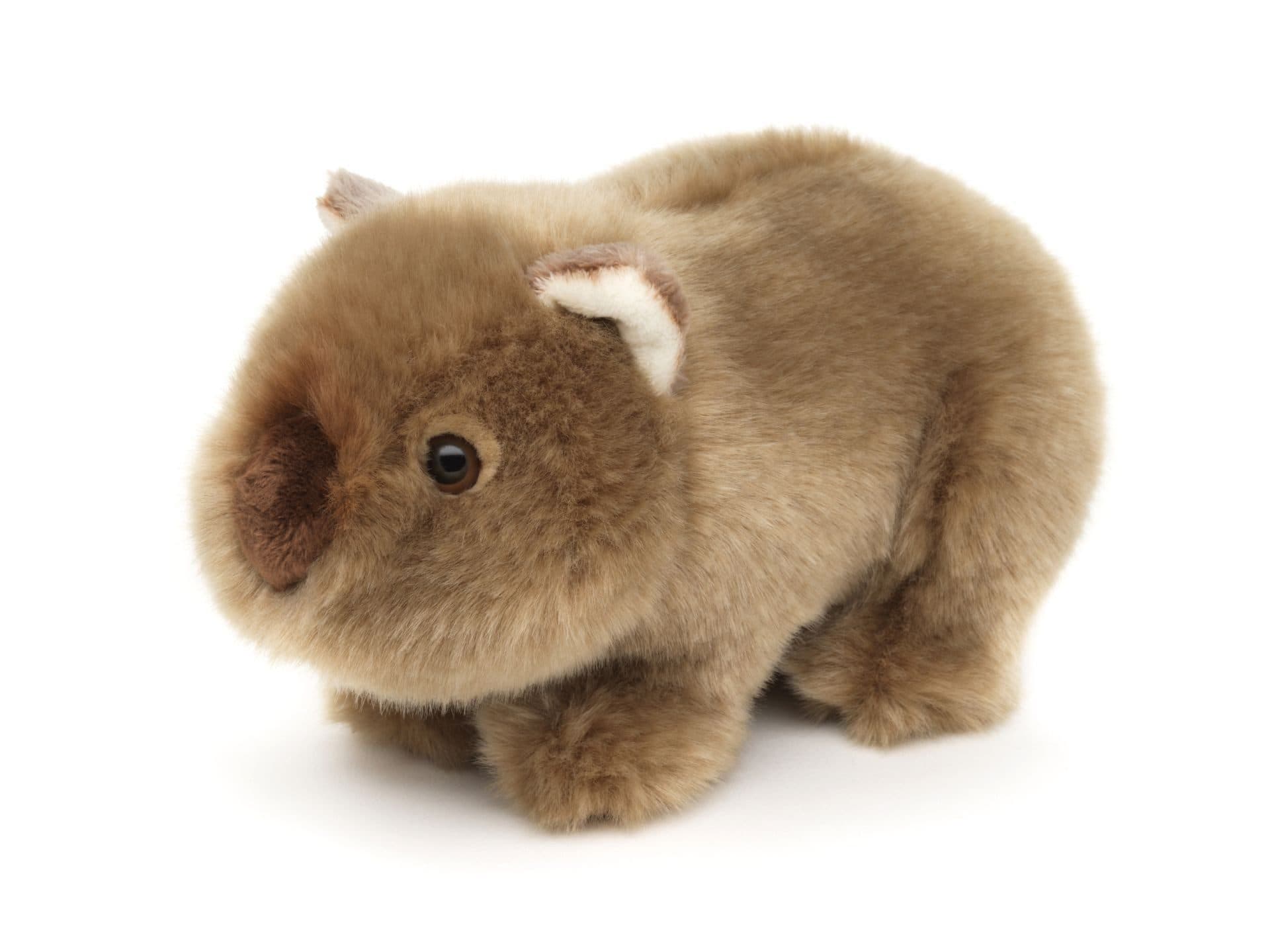 Teddys Rothenburg Kuscheltier Wombat 19 cm Plüschwombat Stofftier Hellbraun - Bild 2