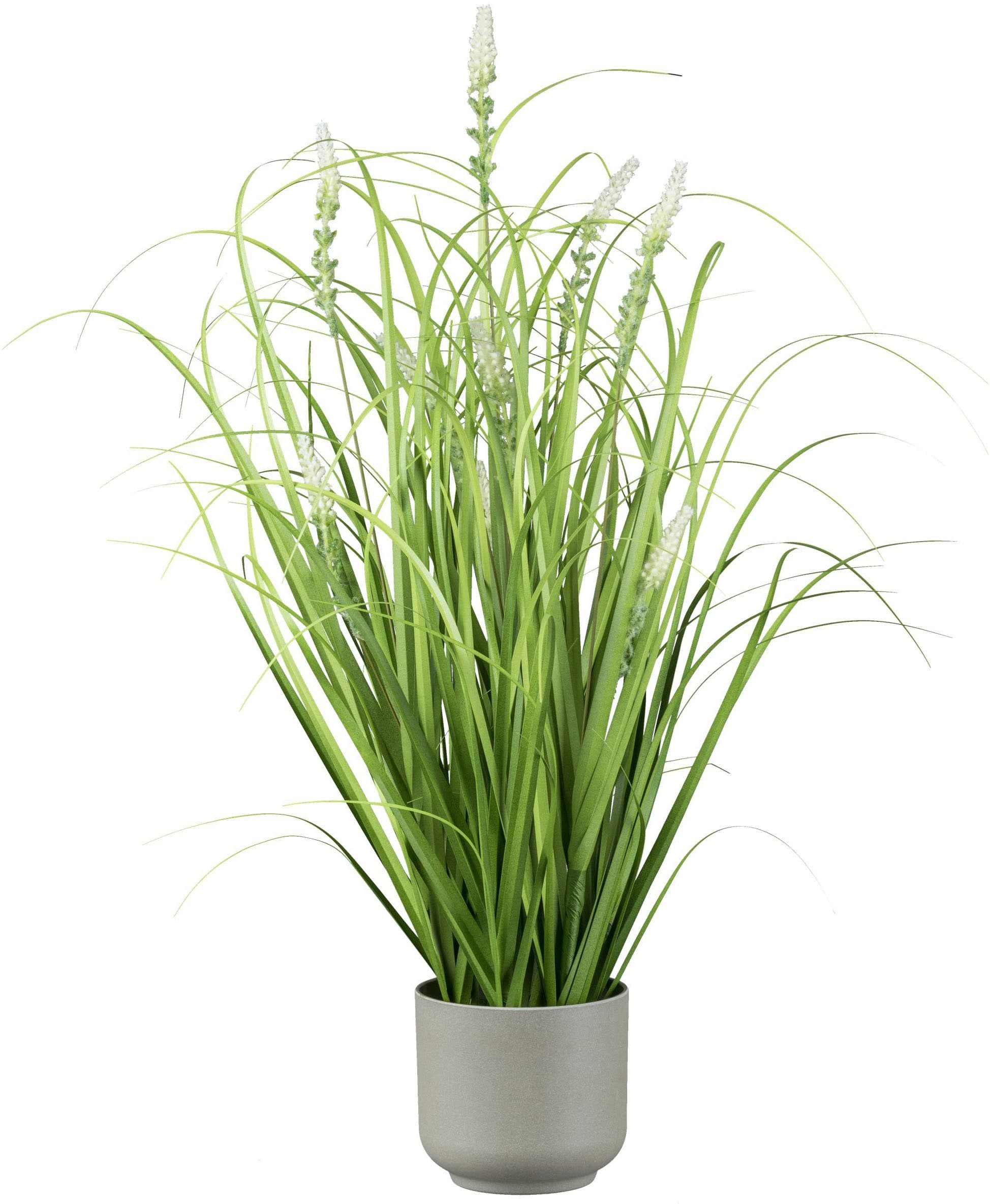 Creativ green Grasbusch mit Salvienblüten Grün Grau Melaminetopf