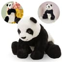 Sarcia.eu Kuscheltier Panda Schwarz-Weiß 30 cm Plüsch Bild 2