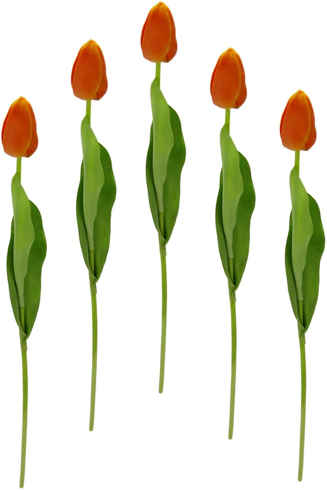 I.GE.A. Real Touch Tulpen 5er Set - Dekorative Kunstblumen für Zuhause und Büro