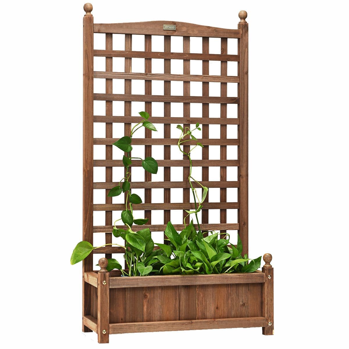 KOMFOTTEU Blumenkasten Gartenbett Pflanzkasten Hochbeet mit Rankgitter