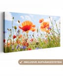 OneMillionCanvasses® Leinwandbild Panorama Blumen Rot Blau Bild 2