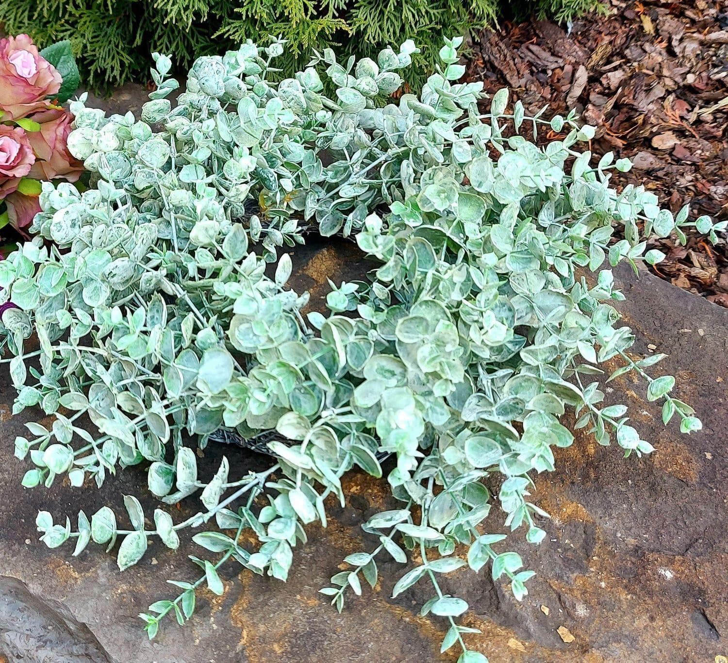 artplants Kunstkranz Eukalyptus Grün-Grau 40cm - Bild 2