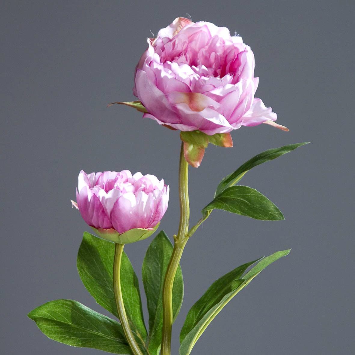 Seidenblumen Roß Kunstblume Pfingstrose 2 Blüten Rosa-Pink