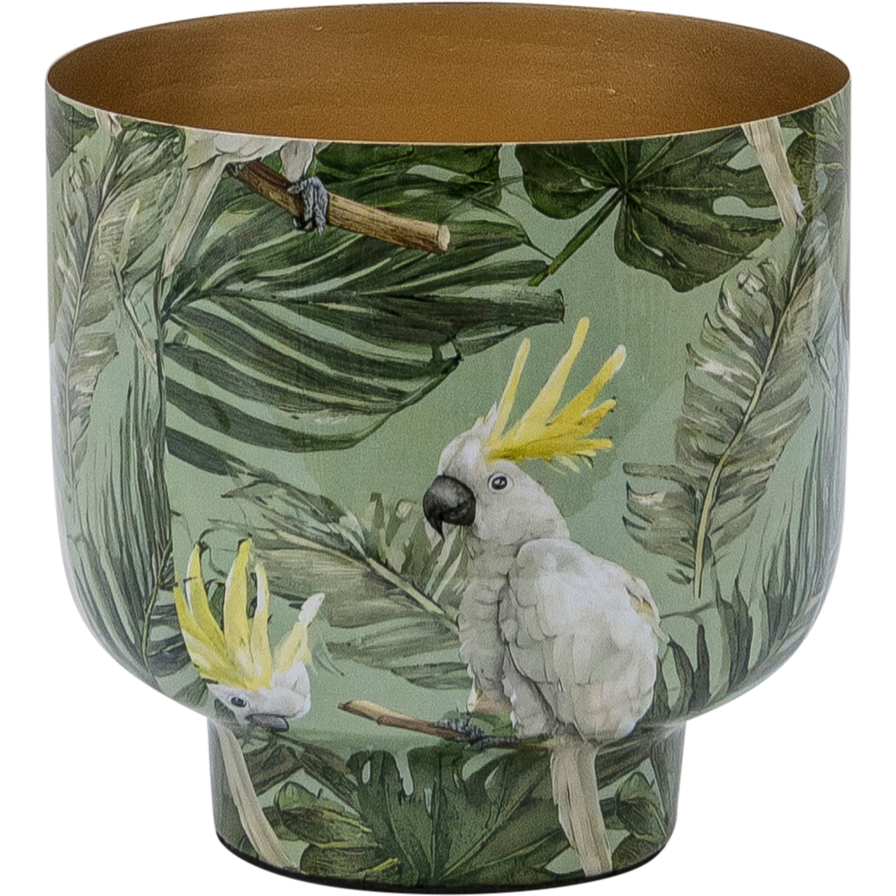 Übertopf CREATIV HOME Kolibridekor Grün