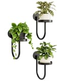 Bamworld Blumenampel Hängegefäße Wandhalter Schwarz 3er-Set Bild 2