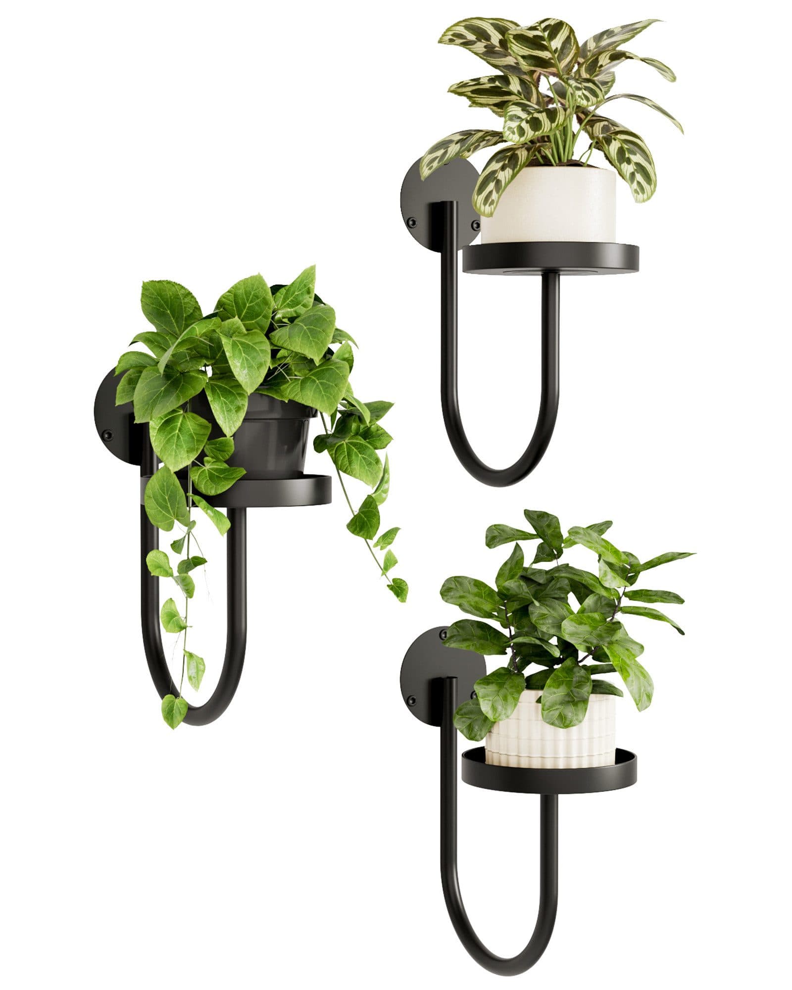 Bamworld Blumenampel Hängegefäße Wandhalter Schwarz 3er-Set - Bild 2