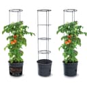 KAGM Tomatentopf 3er Set 12L Rankhilfe Bild 2
