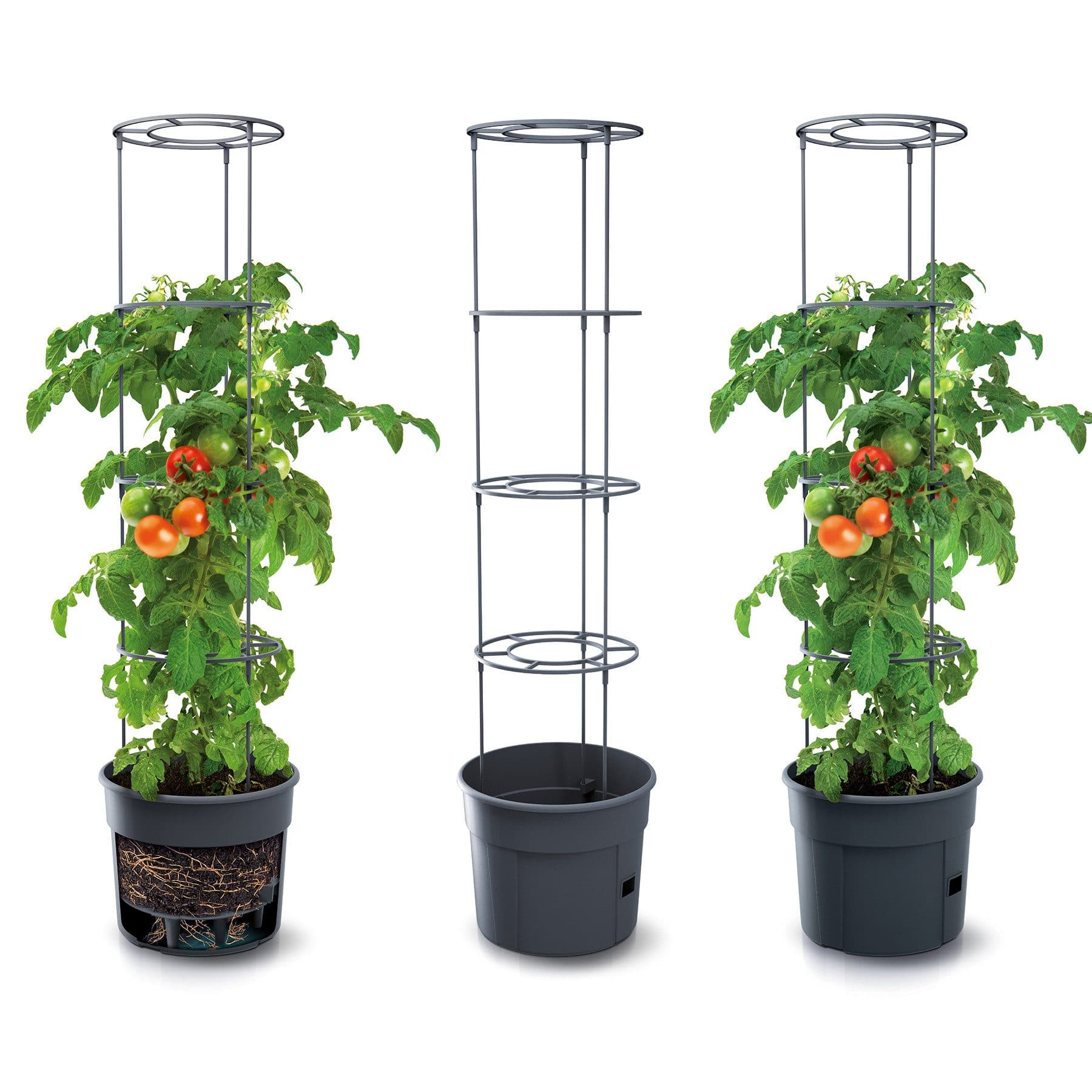 KAGM Tomatentopf 3er Set 12L Rankhilfe - Bild 2