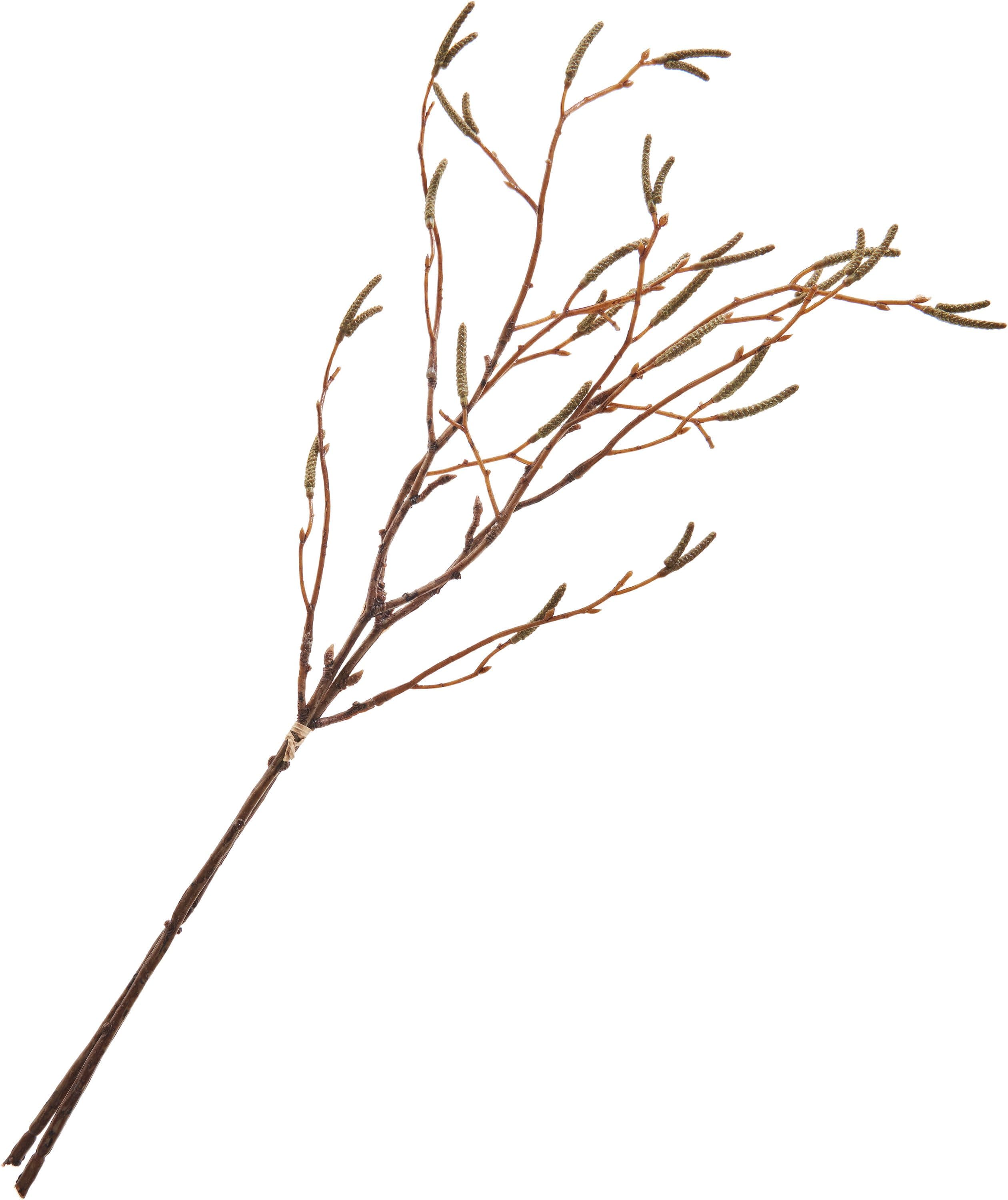 Birkenzweig-Bund Kunststoff Draht 57cm DPI