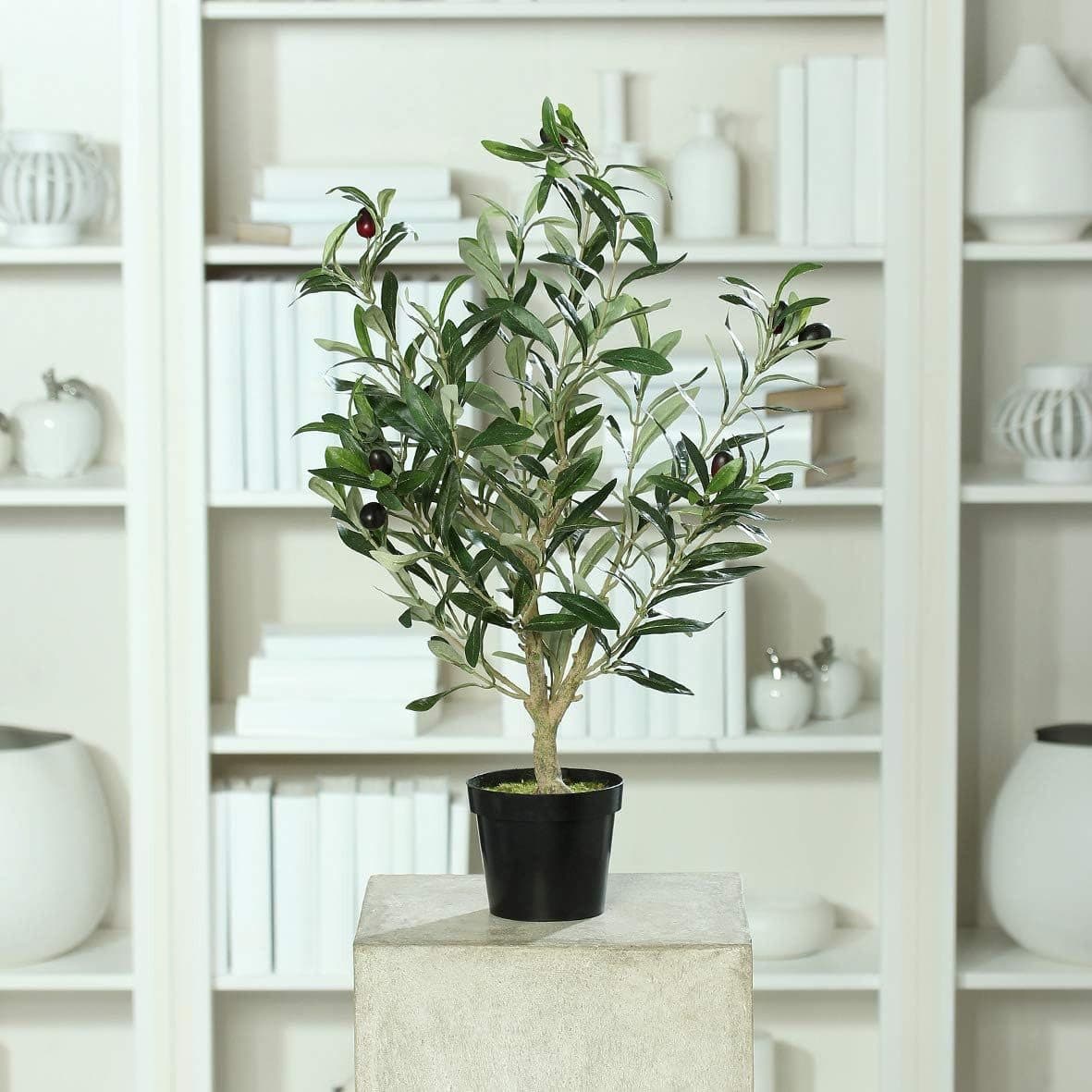 Künstlicher Olivenbaum mit schwarzen Oliven im schwarzen Topf, mucPlants