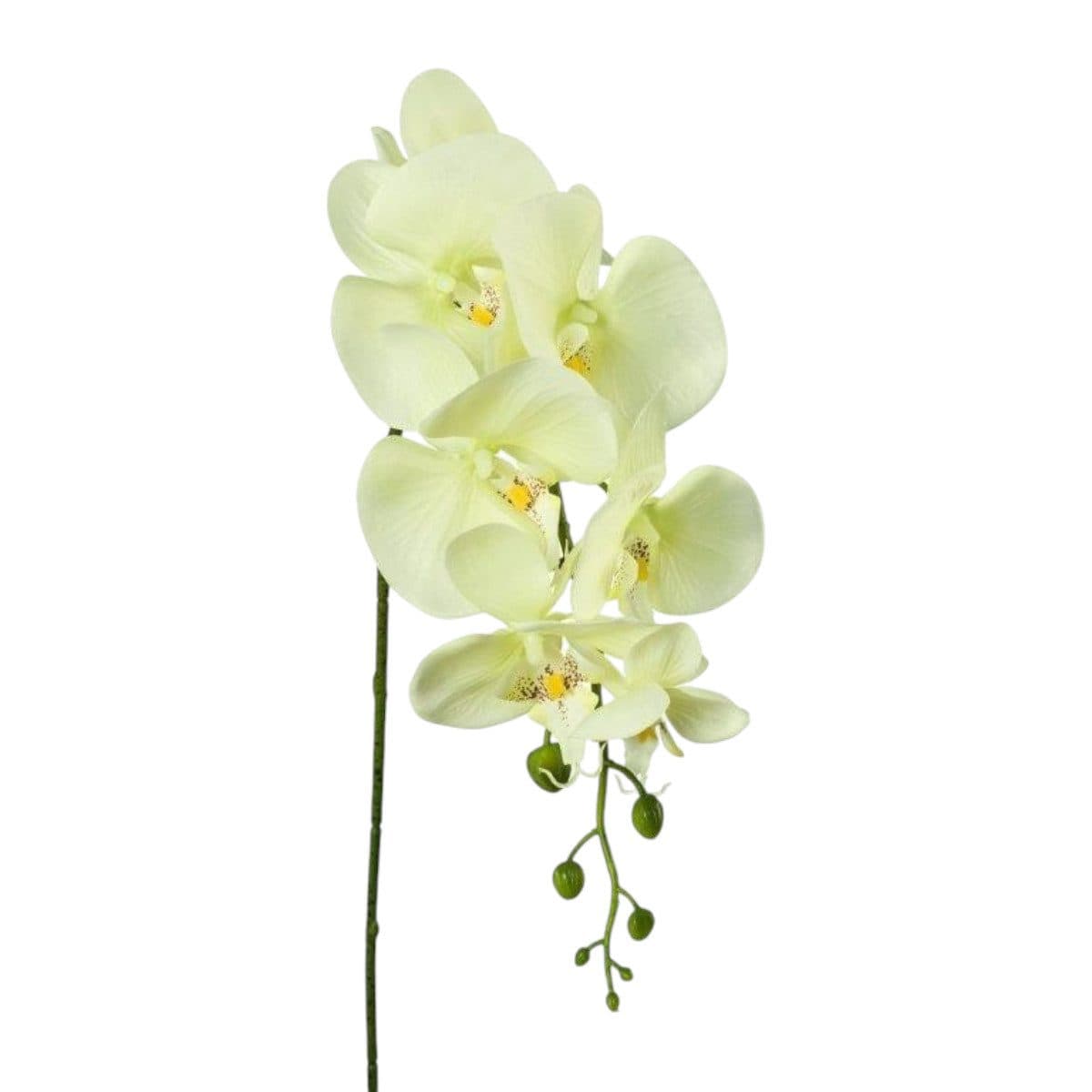 Gasper Kunstblume Phalaenopsis Orchidee Grün 86 cm