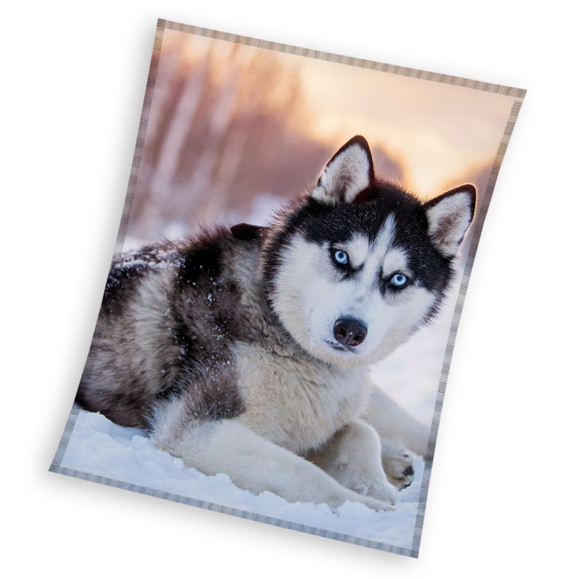 Carbotex Wohndecke Hunde Motiv 150x200 cm Polyester