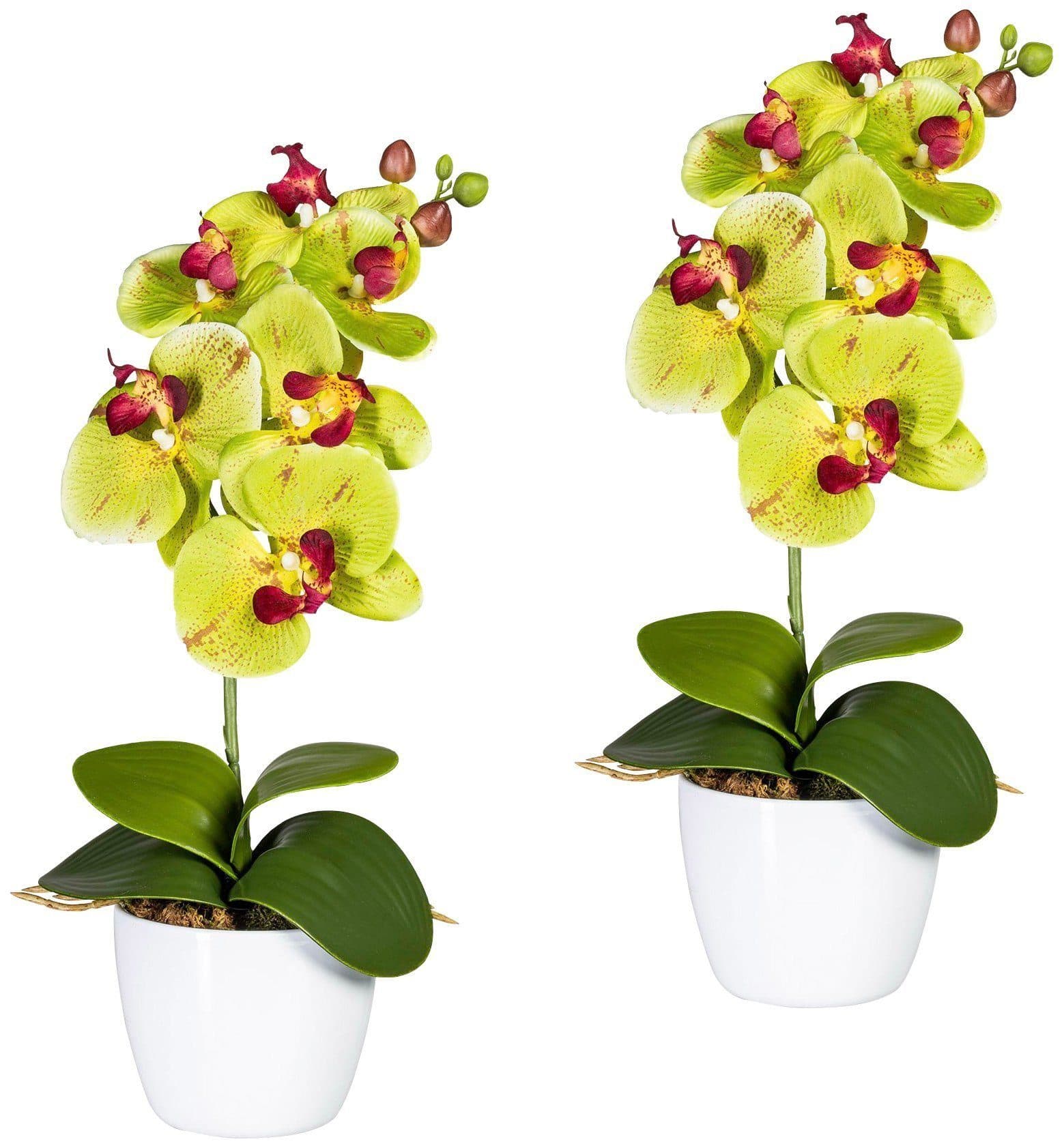 Creativ green Kunstpflanze Orchidee Phalaenopsis Grün Keramiktopf