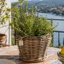 Van der Leeden Rattan Pflanzkorb Indoor Outdoor Braun Schwarz Bild 2