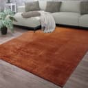 TT Home Teppich Kurzflor Braun Modernes Design Waschbar Bild 2