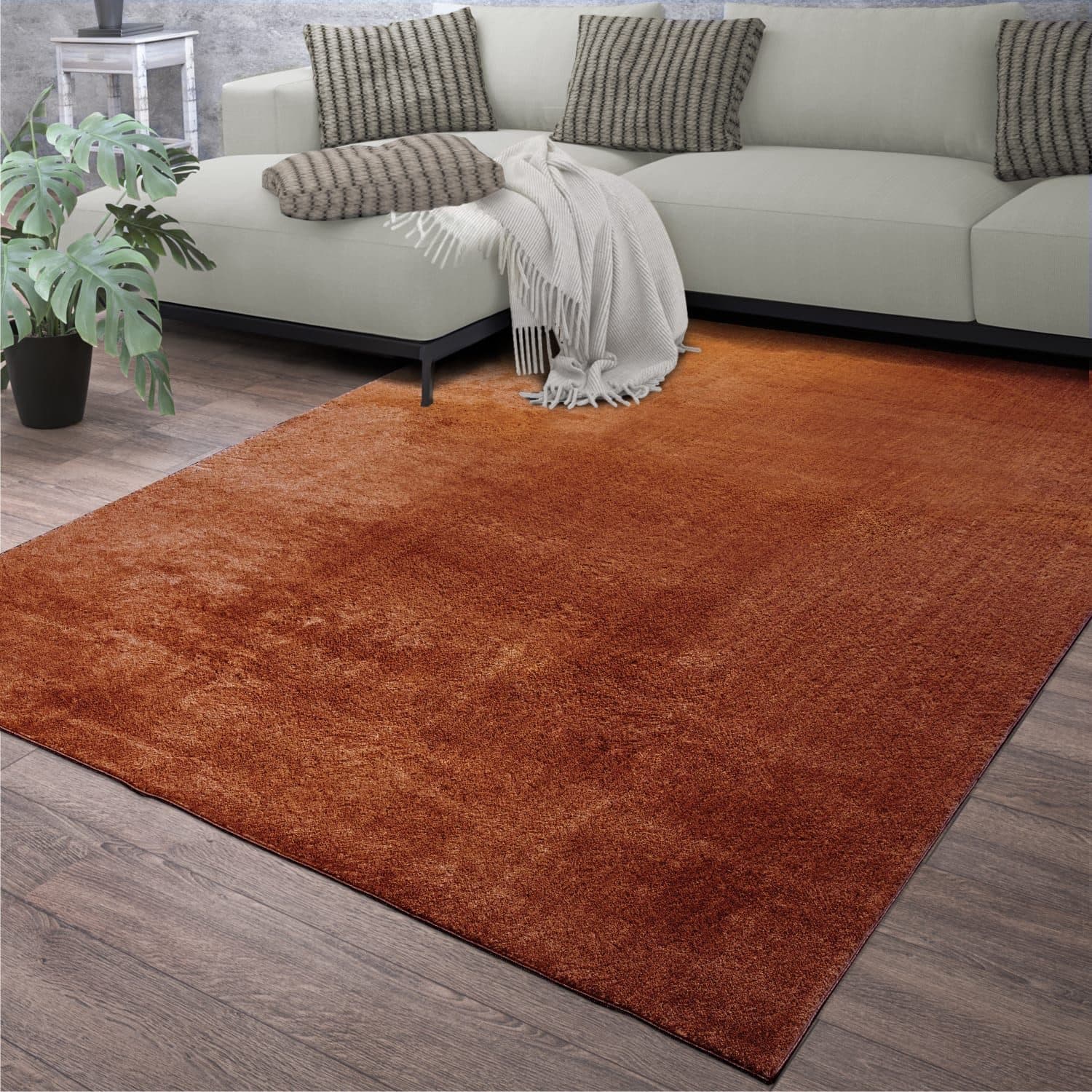TT Home Teppich Kurzflor Braun Modernes Design Waschbar - Bild 2