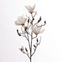 Kunstblume Kunst-Stielblume Magnolienzweig Weiß Goods NL Bild 2