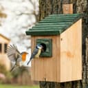 Zooprinz Nistkasten Vogelhaus Grün Pultdach Vollholz Bild 2