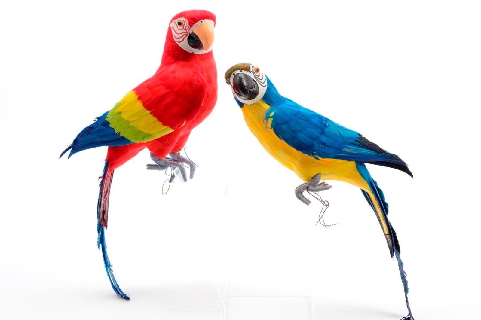 Kaemingk Federpapagei Draht Dekovogel Rot Blau