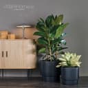 VidaAtHome.de Blumentopf Design-Pflanzgefäße-Set IVY 2er Set Anthrazit Bild 2